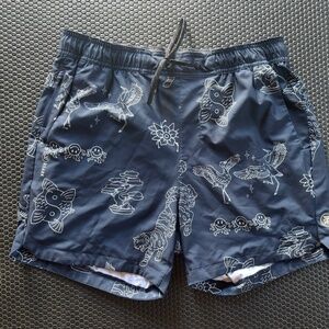 Roark Run Amok Serrano Shorts 5" Men